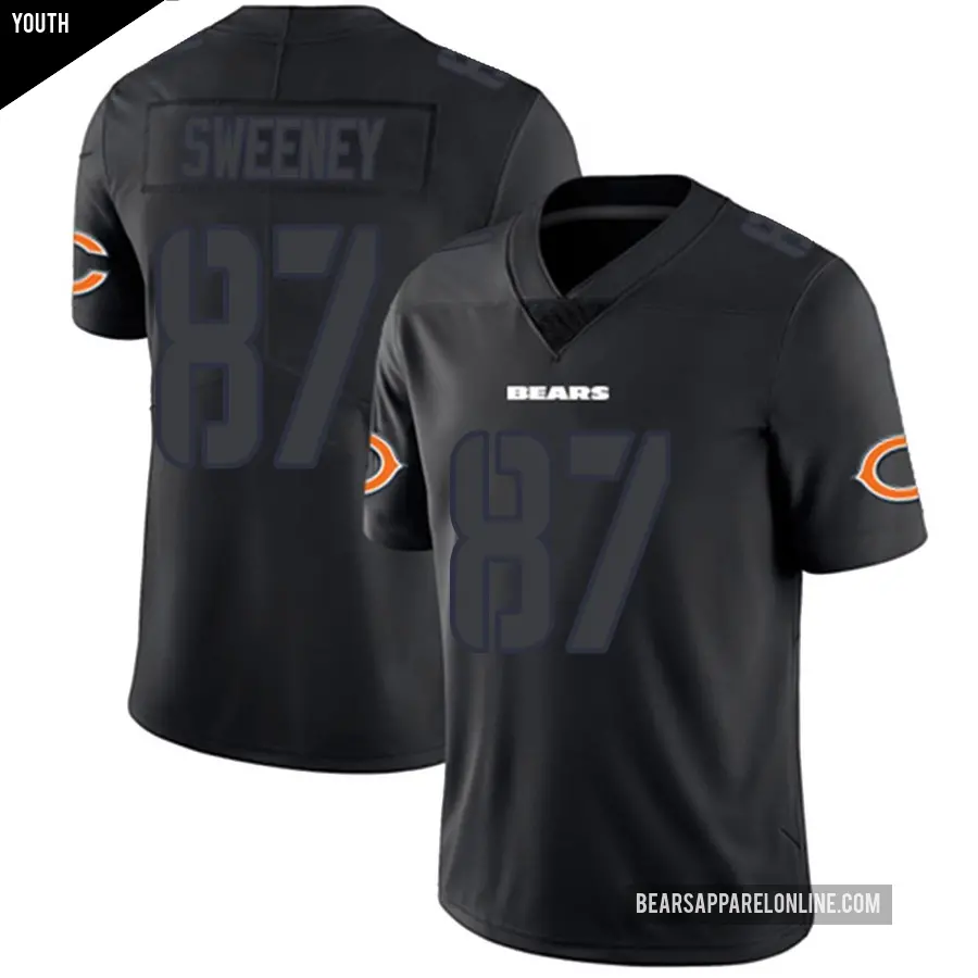Youth Chicago Bears ＃87 Tommy Sweeney Black Impact Limited Jersey
